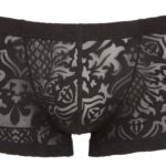 Svenjoyment - Gjennomsiktig boxer med mønster 