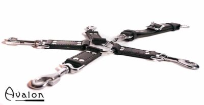 Avalon - SACRED - Hog-tie-sett med 5 deler - Sort