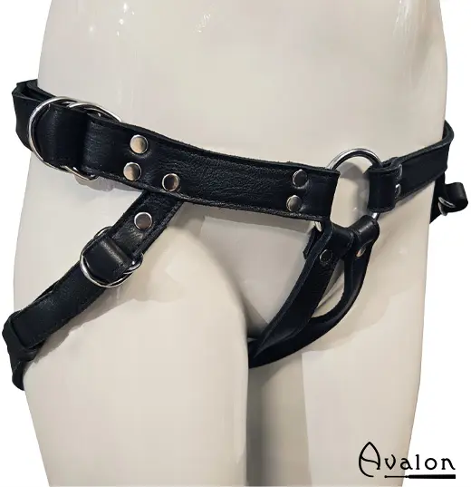 Lynette Avalon Harness