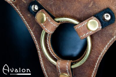 Avalon - Viking - TAKEN - Strap-on Harness