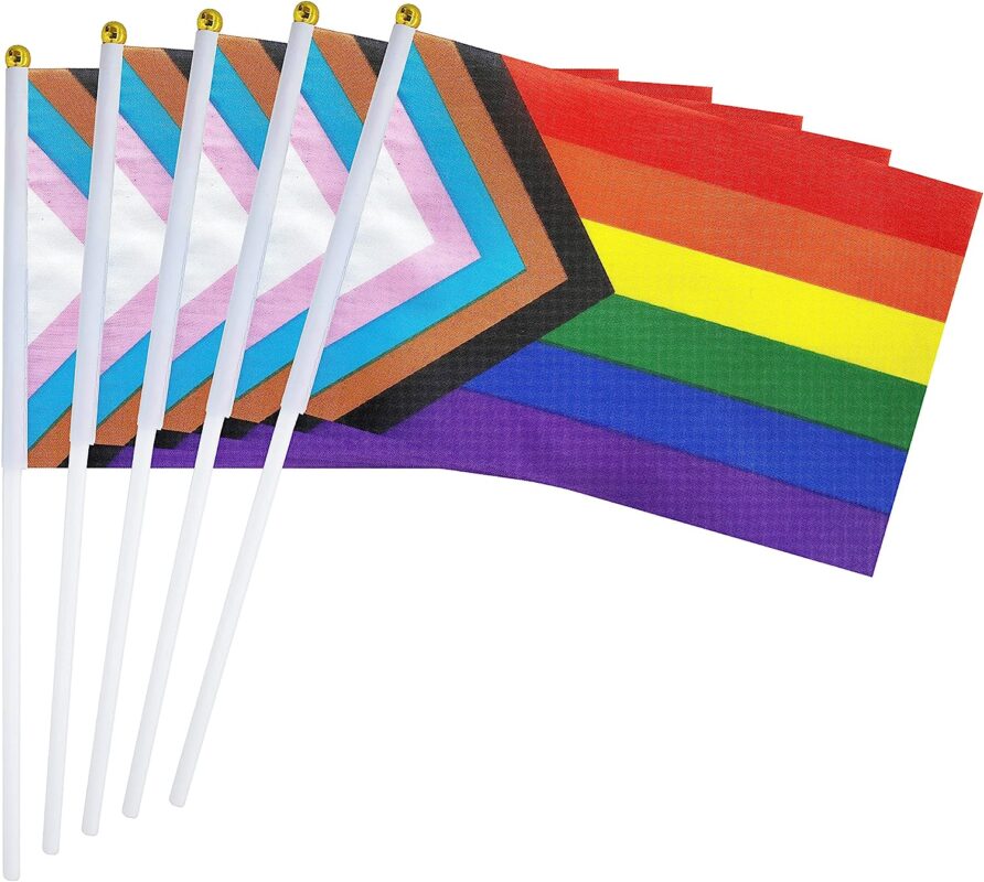 Pride flagg på pinne - Progress