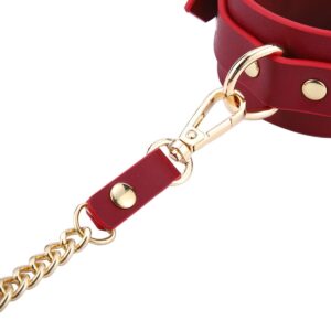 BDSM Deluxe sett med 5 deler og veske - Red