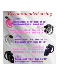The Vice Micro - Chastity Set - Kuklås sett - Transparent