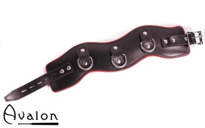 Avalon - CONQUER - Collar med god polstring, Svart og Rødt