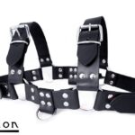 Avalon - BLAZON - Harness Svart