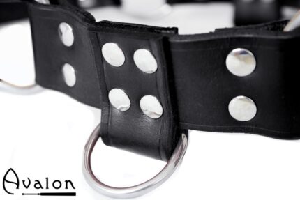 Avalon - BLAZON - Harness Svart