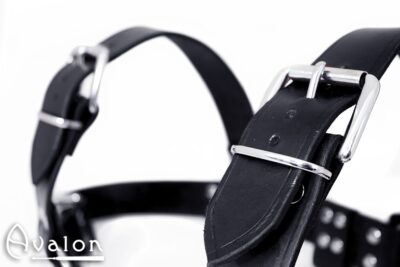 Avalon - BLAZON - Harness Svart